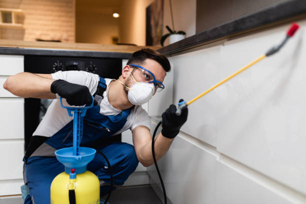 Best Pest Removal Services  in Troy, MI