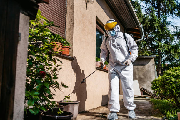 Best Pest Prevention Services  in Troy, MI