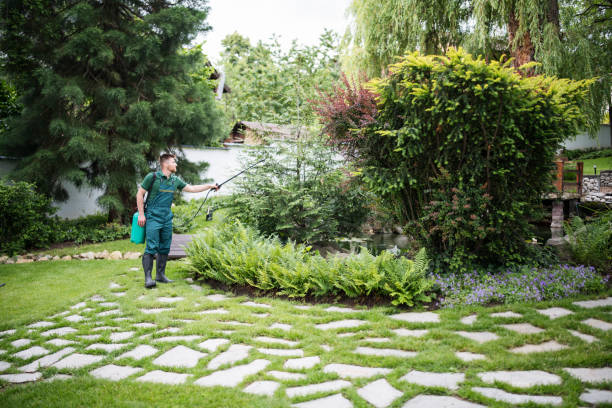 Best Pest Prevention Services  in Troy, MI