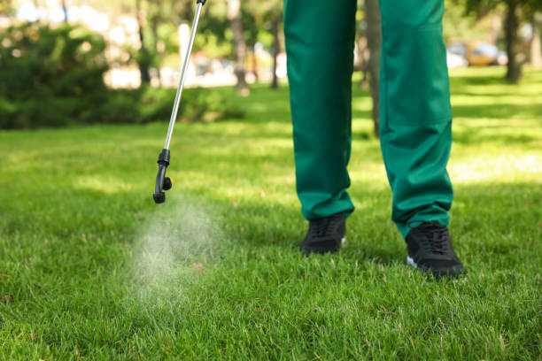 Best Termite Control Services  in Troy, MI