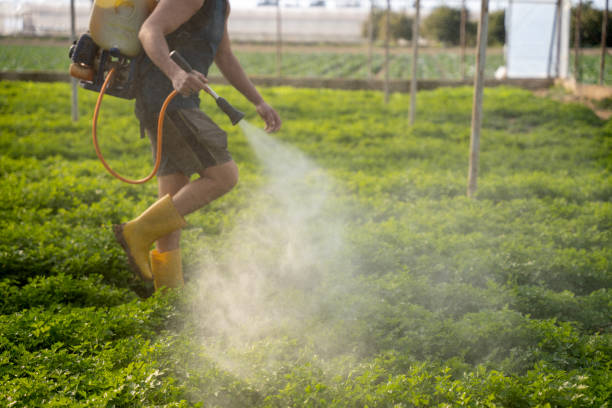 Pest Prevention Services in Troy, MI