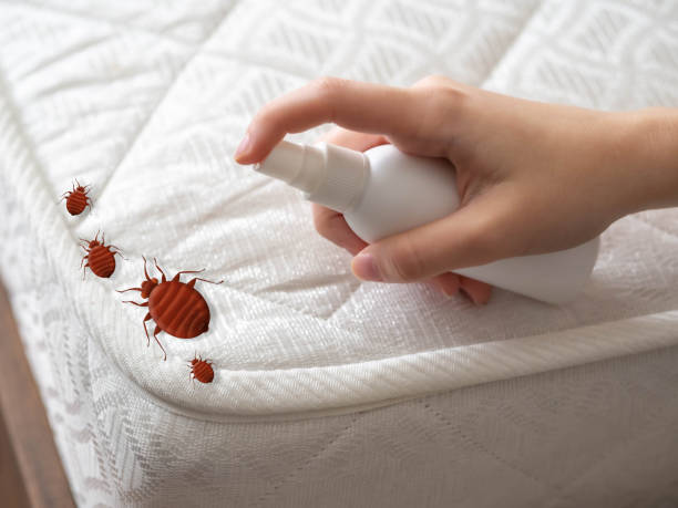Pest Control Cost in Troy, MI