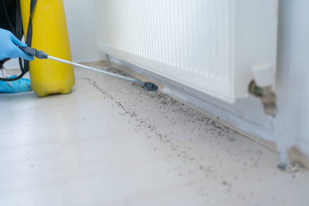 Best Mosquito Control Services  in Troy, MI