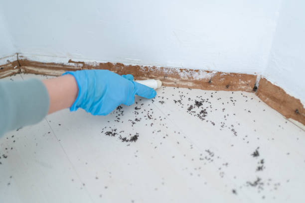Best Wildlife Control Services  in Troy, MI