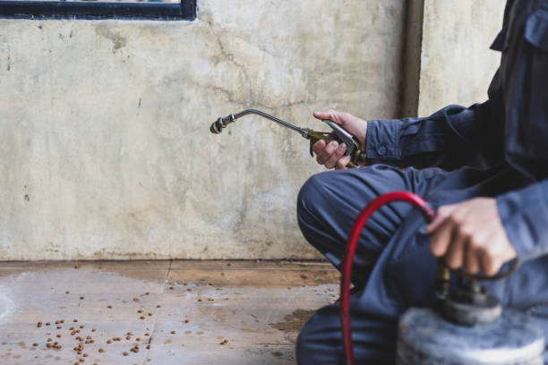 Best Affordable Pest Control Services  in Troy, MI