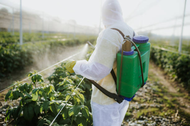 Wildlife Control Services in Troy, MI